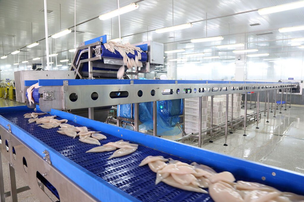 Squid Processing Machine - YUKE
