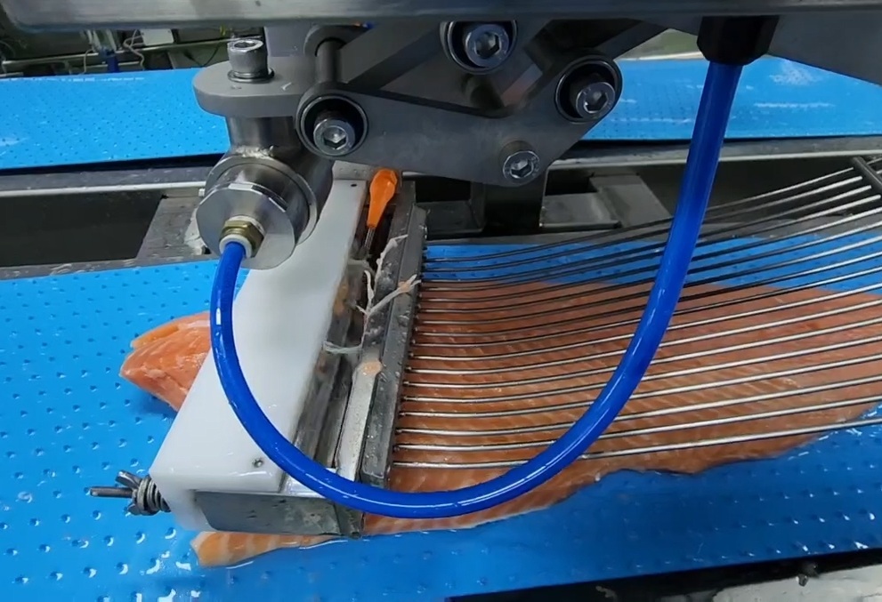 salmon pin bone remvoer machine-YUKE
