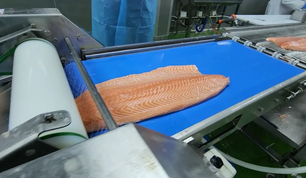 máquina de desollado de salmón